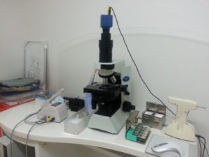 位相電子顕微鏡